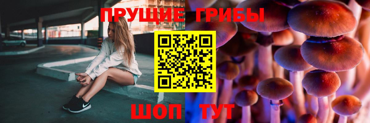 Псилоцибиновые грибы Psilocybine cubensis Гудермес